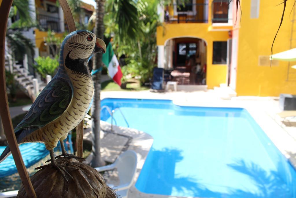 El Acuario Hotel Playa del Carmen Exteriör bild