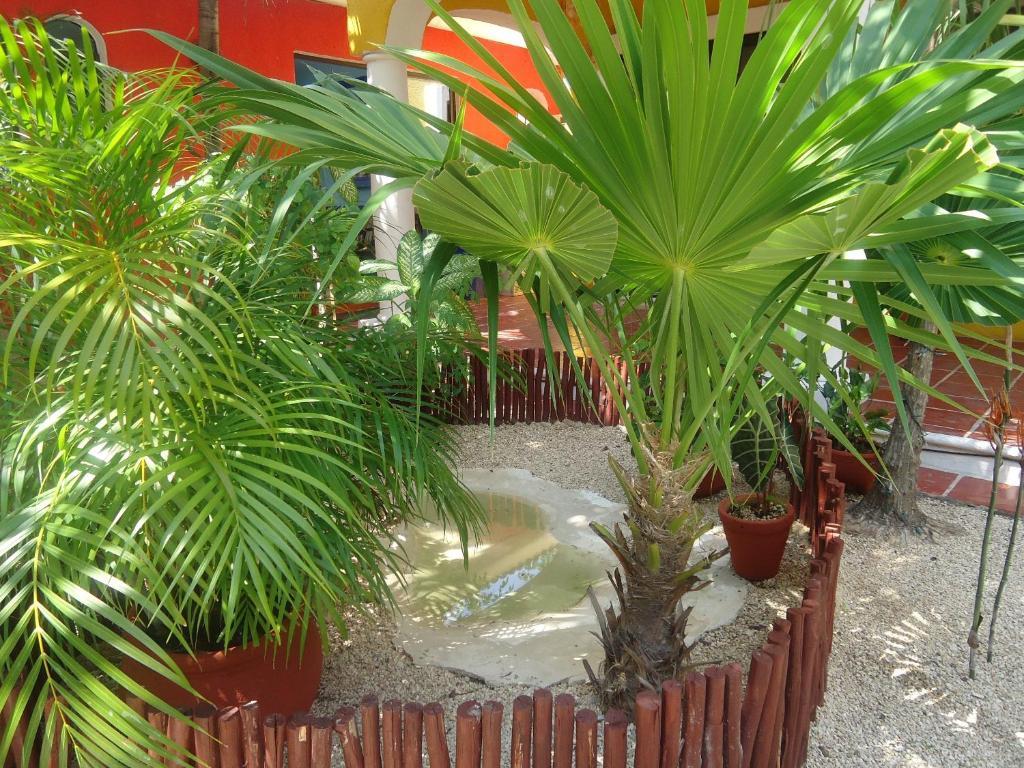 El Acuario Hotel Playa del Carmen Exteriör bild
