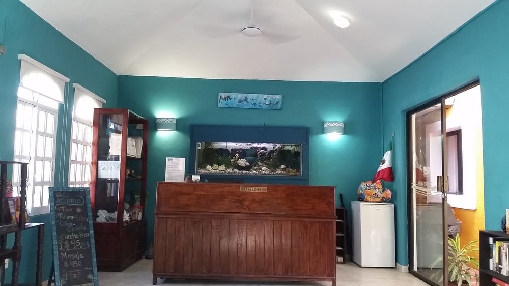 El Acuario Hotel Playa del Carmen Exteriör bild